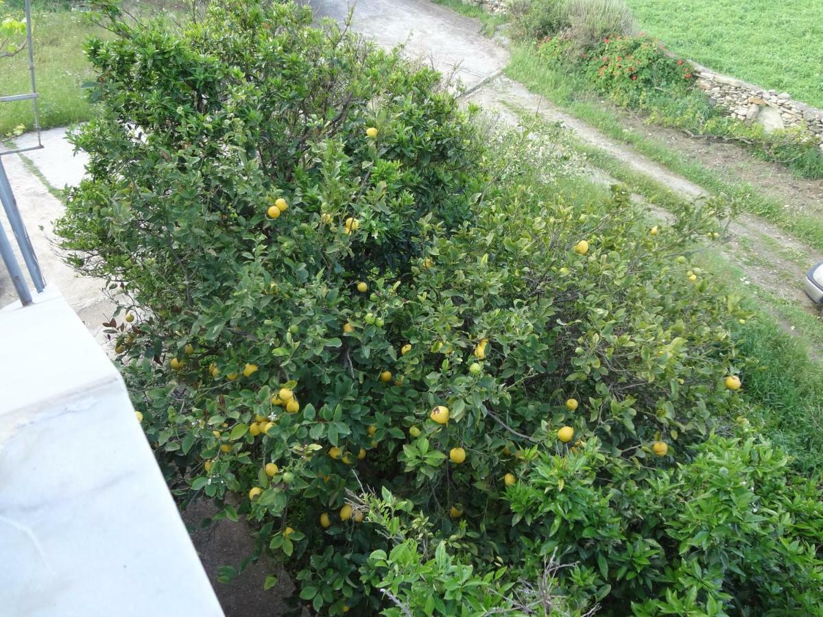 فيلا House In The Grass Land. Ormos  المظهر الخارجي الصورة