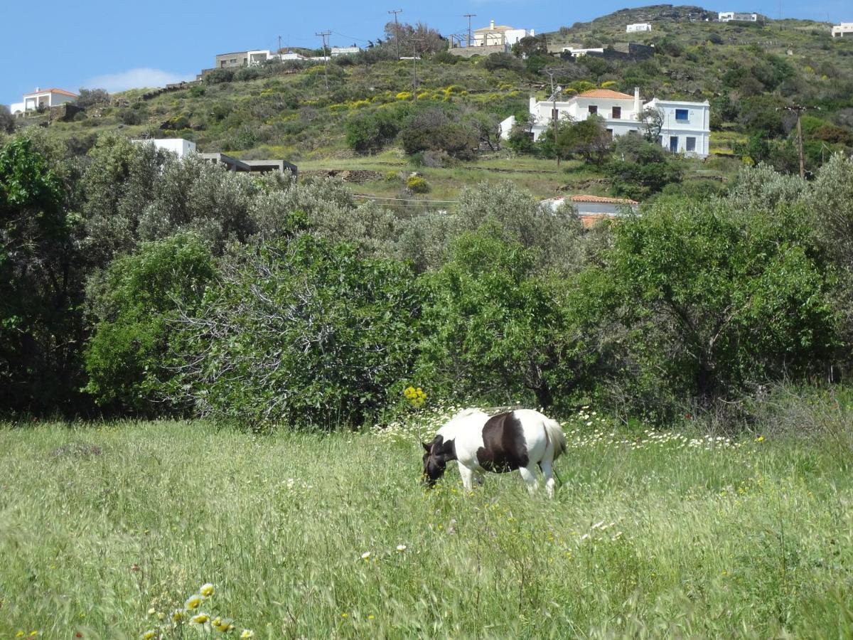 فيلا House In The Grass Land. Ormos  المظهر الخارجي الصورة